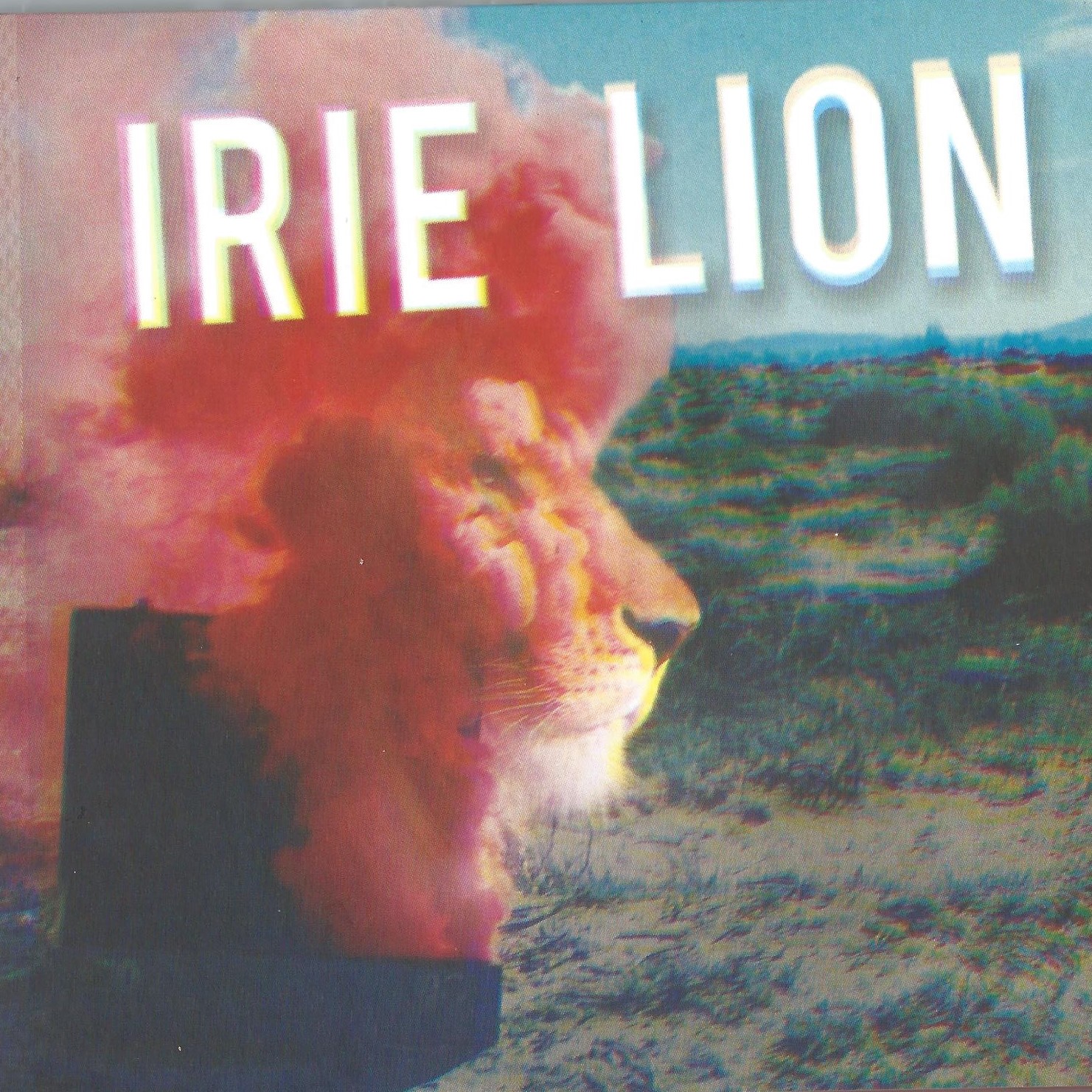 CD IRIE LION - ROCK & COME IN