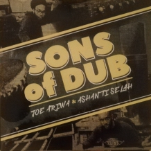 images/productimages/small/lp-sons-of-dub.jpg